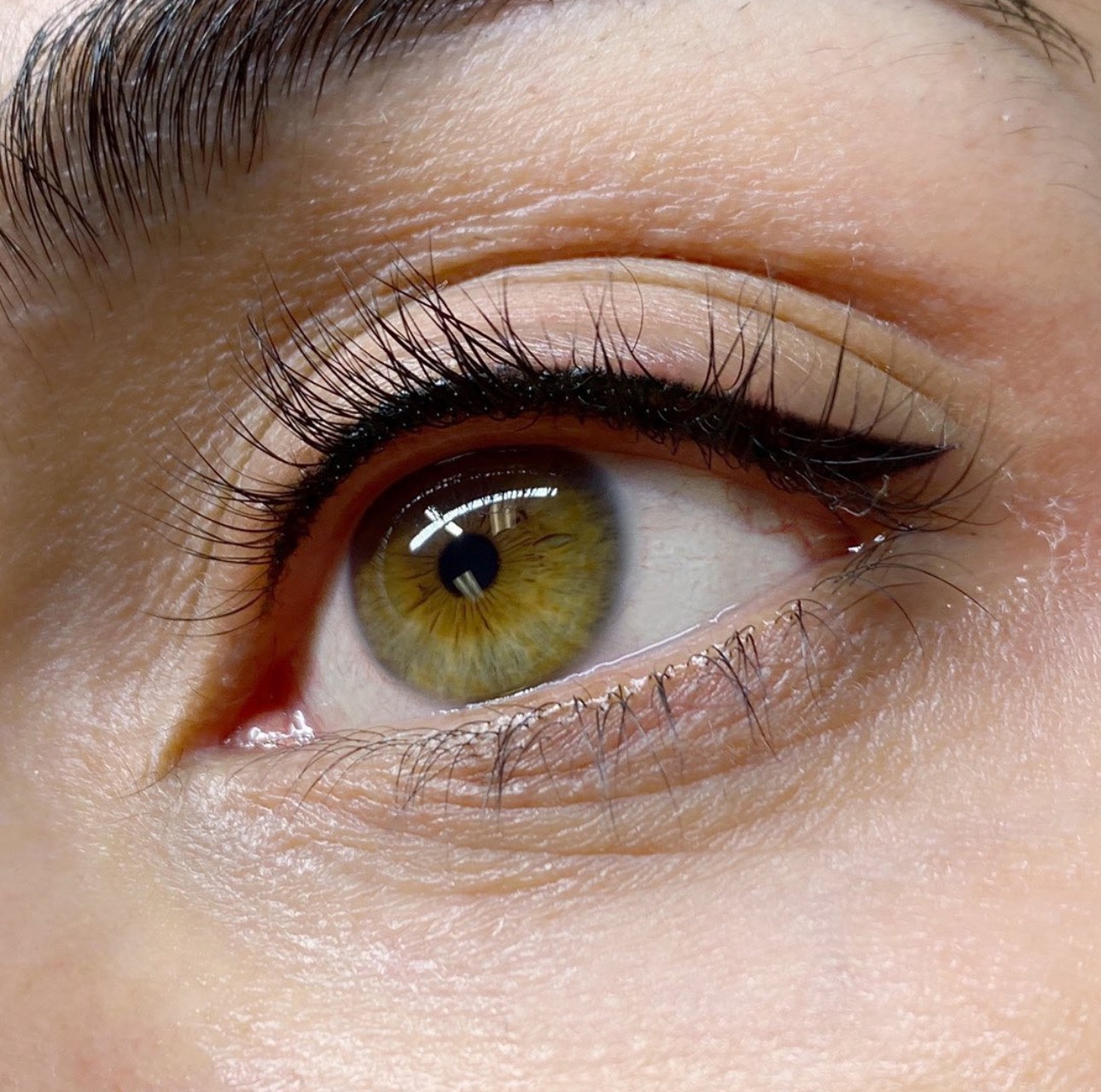 20240915 1DAY DALLAS PMU Eyeliner Training LISA OM®